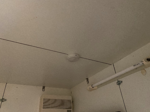 感知器画像